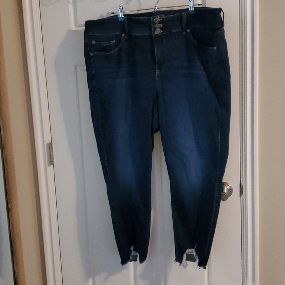 Torrid Jeggings plus size 24